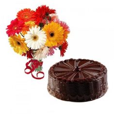 Gerbera Celebration With Delicious Chocolate Cake