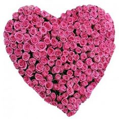 100 Pink Roses Heart Shape Arrangement