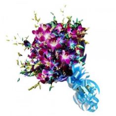 10 Purple Orchid Bouquet

10 purple orchids wrapped in cellophane and tied in fancy blue ribbon