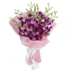 8 Purple Orchid Bouquet

A simple 8 purple orchid bouquet wrapped amazingly in white ribbon Just ...