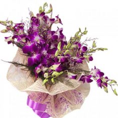 Stunning Purple Orchid Flower Bouquet

10 purple orchids wrapped in cellophane and tied in fancy ...