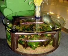 Scientific Vastu Remedies by an Architect for Existing House/Office – Kevaastu