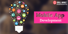 Brill Mindz Technologies process of mobile app development in Bangalore is the most organized on ...