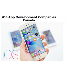 iPhone is one of the most flexible platforms to develop different types of utility applications  ...