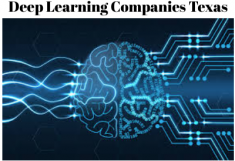 Deep learning services