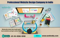 Are you looking for Professional Website Design Company in India? Webindia is one of the leading ...
