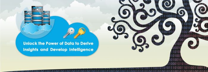Big data company India