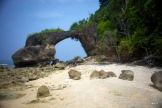 Havelock Sightseeing Tour – Havelock Island Travel Agents. Call@ 9971482795.
