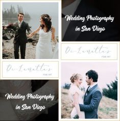 Be sure to visit numerous different photographers and take a search for the samples of their wor ...