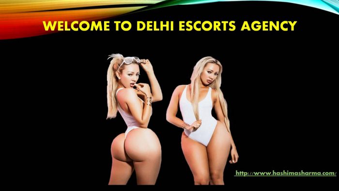 Delhi is one of the most beautiful and charming places in India that is known for the best Escor ...