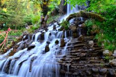 Uttarakhand is the northern part of india which well-known place and site for hindu pilgrimage w ...