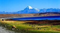 India is one of the most perfect destination to allures the beauties of this land in the most am ...
