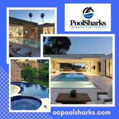 Clean and clear pools, efficient equipment use, and seamless pool care are our goals. Expert, fr ...