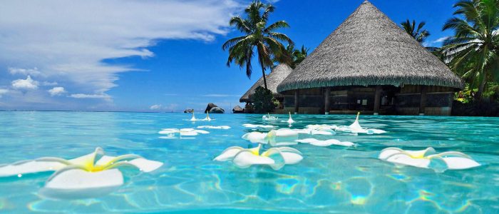 We, Vedaham tours and travels is the travel agency which is established in 2018 which is located ...