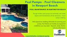Pool Sharks can help with the troubleshooting and repair. With experience installing all brands  ...