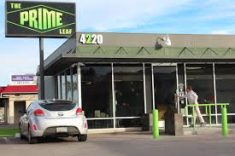 At The Prime Leaf, our patients come first. We believe in a holistic approach to healing, highli ...