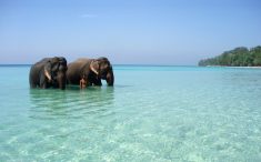 So many travel agent in Andaman are offering great Andaman family tour packages in very competit ...