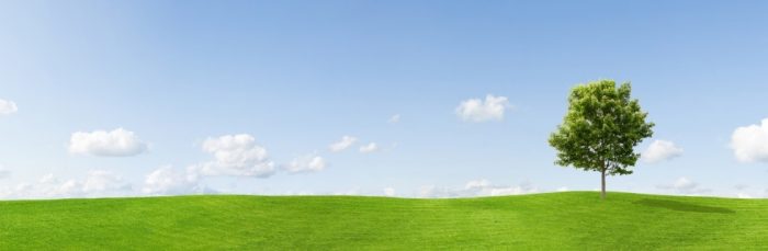 Dehradun Escorts Service  – Dehradun Escorts, Dehradun Call Girls, Dehradun Escorts Service