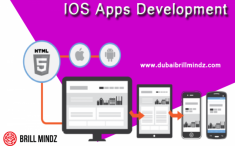 “Brillmindz is a leading mobile apps development and game development company in Dubai. We ...