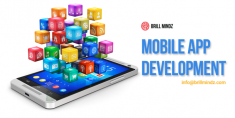 “Brillmindz is a leading mobile apps development and game development company in Dubai. We ...