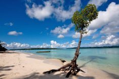 Port Blair is the capital of Andaman and Nicobar which is situated in the Bay of Bengal. It is c ...