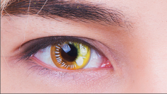 CosVillage gives you the best quality Colourvue Eyelush in many color options like.green, blue,  ...