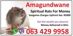 Get the wealth you deserve with Spiritual Rats, Money Spells in usa uk Amagundwane Sangoma +2763 ...