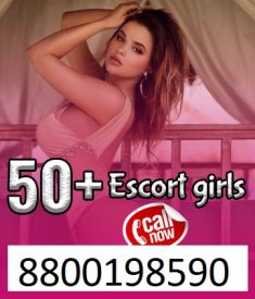 Call Girls In Mukherjee Nagar/Saket 8800198590 Door Step Delivery Top Quality Full Educated and  ...