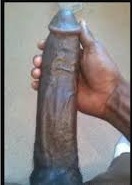 south africa What’s Mutuba seed? top Penis Enlargement +27634299958 uk usa Switzerland
Pen ...