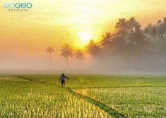 Explore the serenity and village beauty of God’s own country. Enjoy the evening beauty of  ...