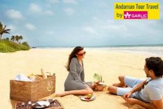 The Andaman Islands are beautiful to visit. The place encourages all types of travellers. The ho ...