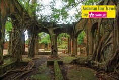 Ross Island was bygone capital of Andaman. The island gives a picture of lost town which is lite ...