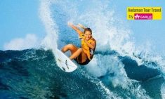 Surfing is an adventurous activity where you will feel the energy of waves of the sea. The plank ...