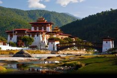 Are you searching bhutan tourism?. Marvellous Bhutan is the best bhutan tour travel agency that  ...