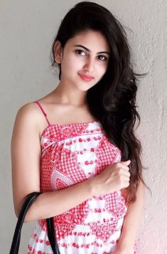 Hire Lajpat Nagar Escorts Escort for Business Meetings