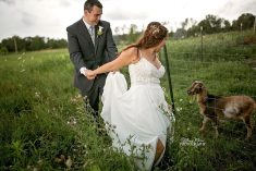 Farm Wedding Michigan