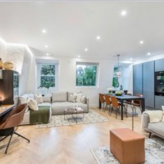 Property Search Consultants