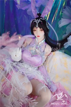 Home use of Real Doll and sex robots