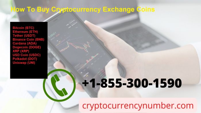 Coinbase Wallet presents support for the Solana environment