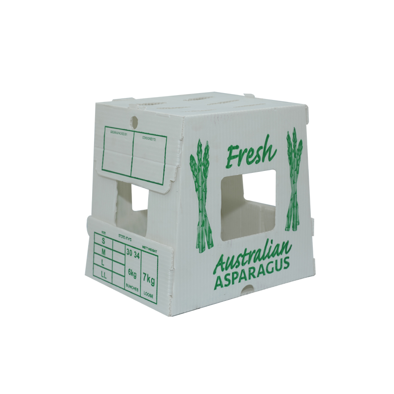 Corrugated Plastic Agriculture Boxes