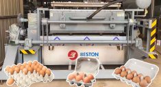 Egg Tray Manufacturing Machine – Process, Price and ROI