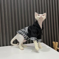 Christian Dior pet dog cat scarf pet coat clothes for winter