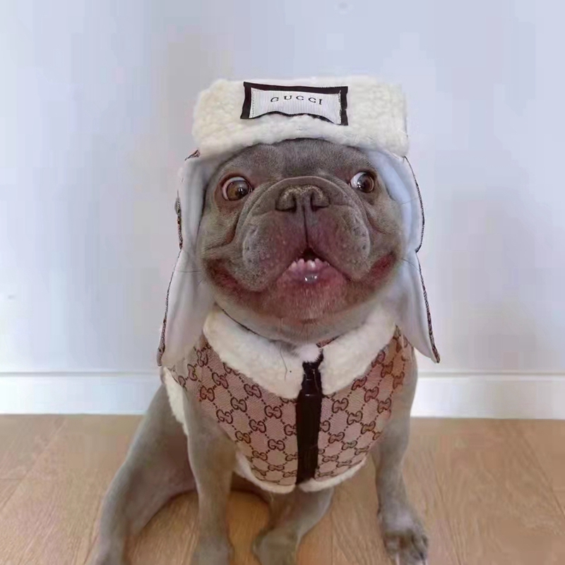 Gucci pet dog cat clothes luxury pet sweater