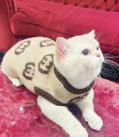 Chanel pet dog cat sweater clothes small luxury brand pet coat
