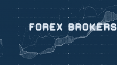 Different Types Of Forex Brokers And How To Choose