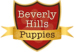 HOME | French & English Bulldog Puppies | BeverlyHillsPuppies.com
