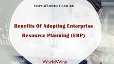 Why is ERP Essential For a Small Business?