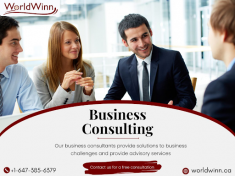 Business Consulting Services