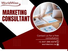 Marketing Consultant Mississauga