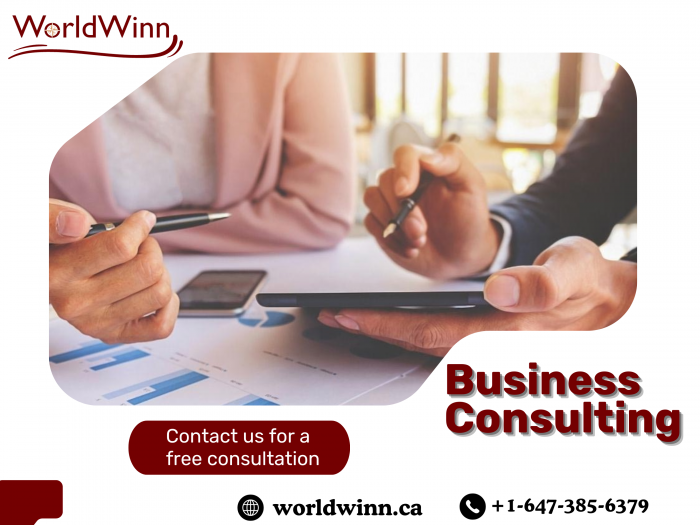 Business Consultant Burlington